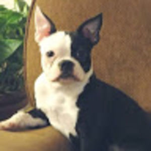 Meet your Posher, John